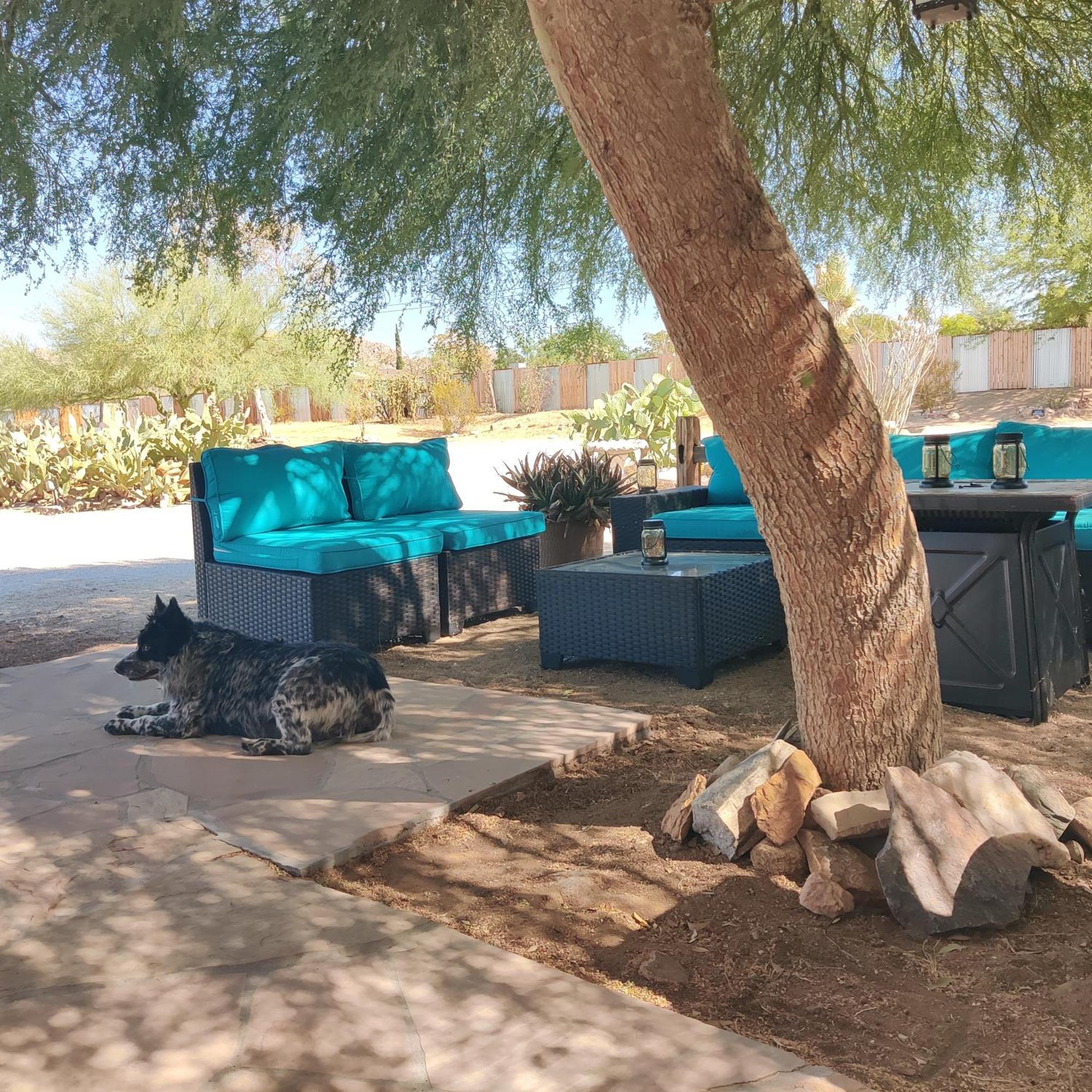 Joshua Tree Ranch House Motel - Downtown - Room #8 エクステリア 写真